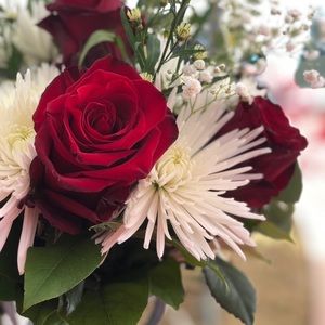 Meet your Posher, Beatrice